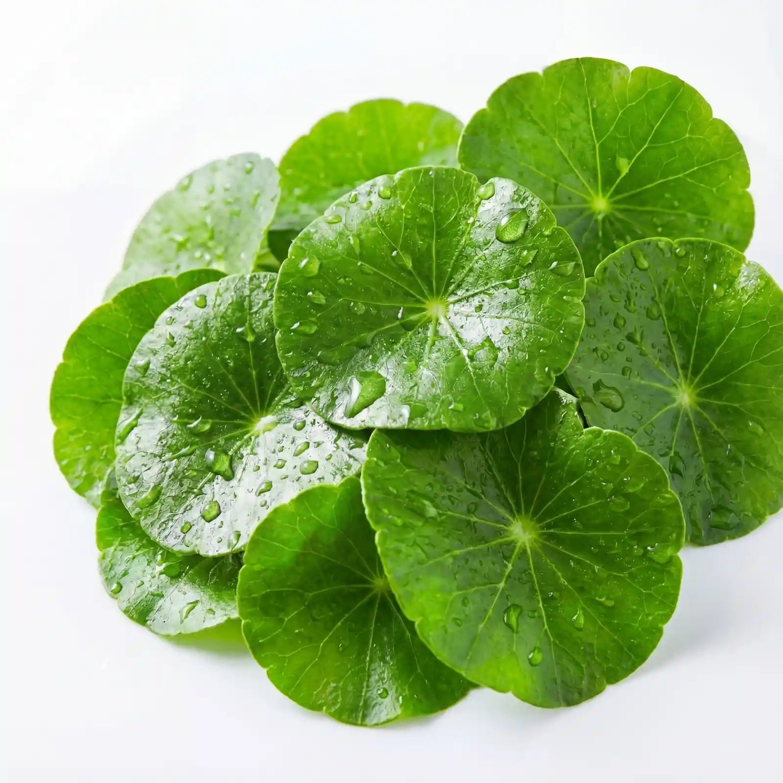Ingredient image